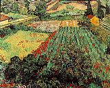 Vincent Van Gogh Canvas Paintings - Field with Poppies
